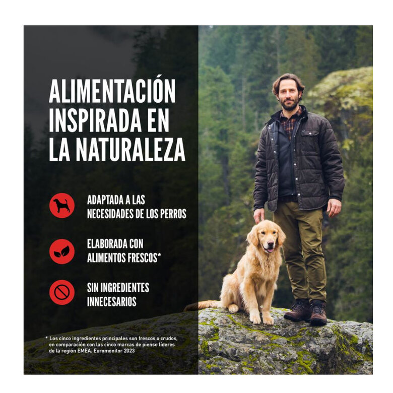 11 kg Orijen Puppy ração para cães,  Imagem número 6 11 kg Orijen Puppy ração para cães, , large Imagem número 6