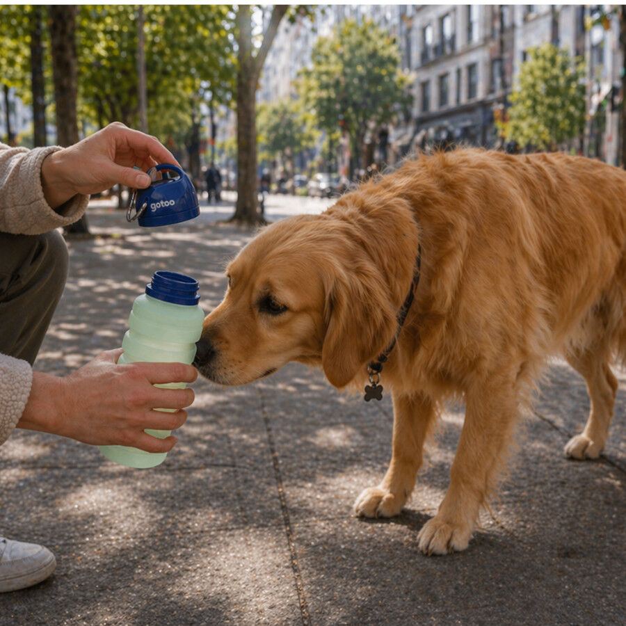Gotoo Garrafa Bebedouro Port&aacute;til em Silicone Azul e Verde para c&atilde;es e gatos, , large Imagem n&uacute;mero 1