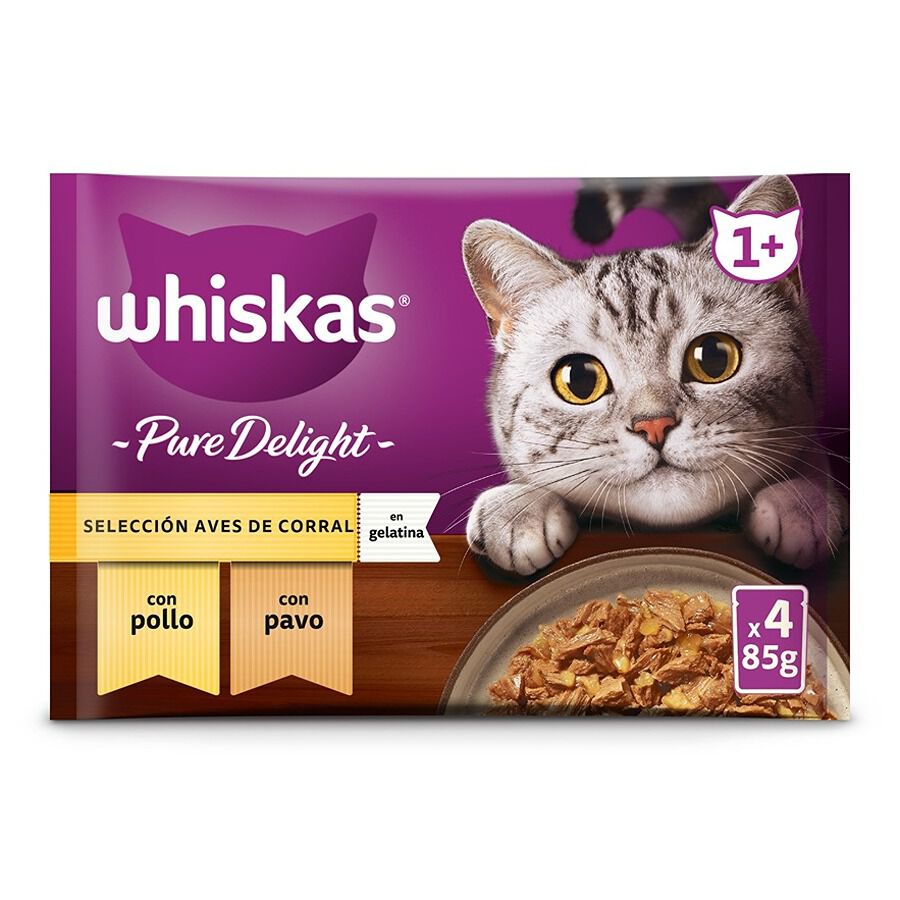 Whiskas casserole tesco best sale
