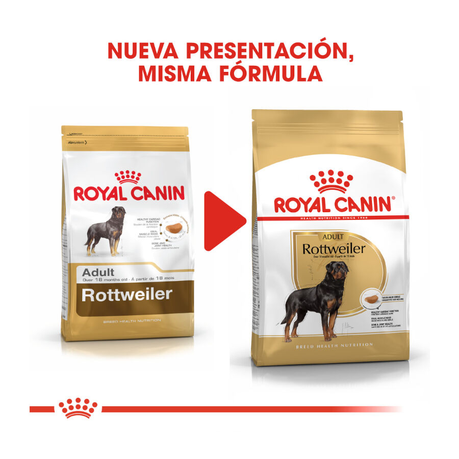 12 kg Royal Canin Adult Rottweiler ra&ccedil;&atilde;o para c&atilde;es, , large Imagem n&uacute;mero 3