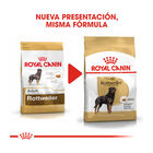 Royal Canin Adult Rottweiler ração para cães, , large image number null