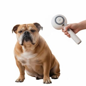 All For Paws Pet Salon Escova de limpeza para cães e gatos