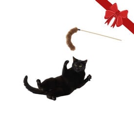 Wonder Christmas Brinquedo com Vara de Natal para Gatos