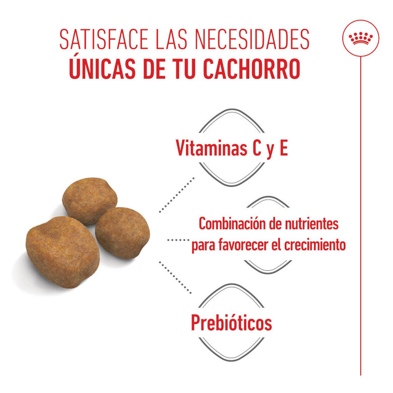 15 kg Royal Canin Puppy Giant ração para cães,  Imagem número 4 15 kg Royal Canin Puppy Giant ração para cães, , large Imagem número 4