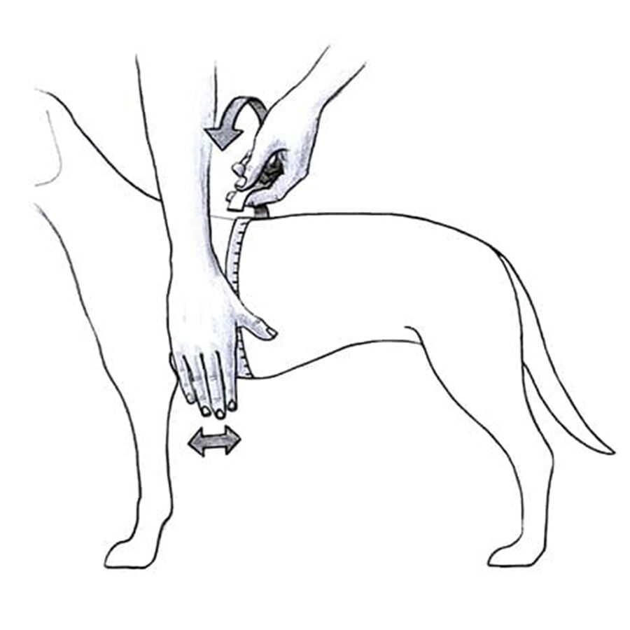 Julius-K9 IDC Peitoral Preto para c&atilde;es, , large Imagem n&uacute;mero 2