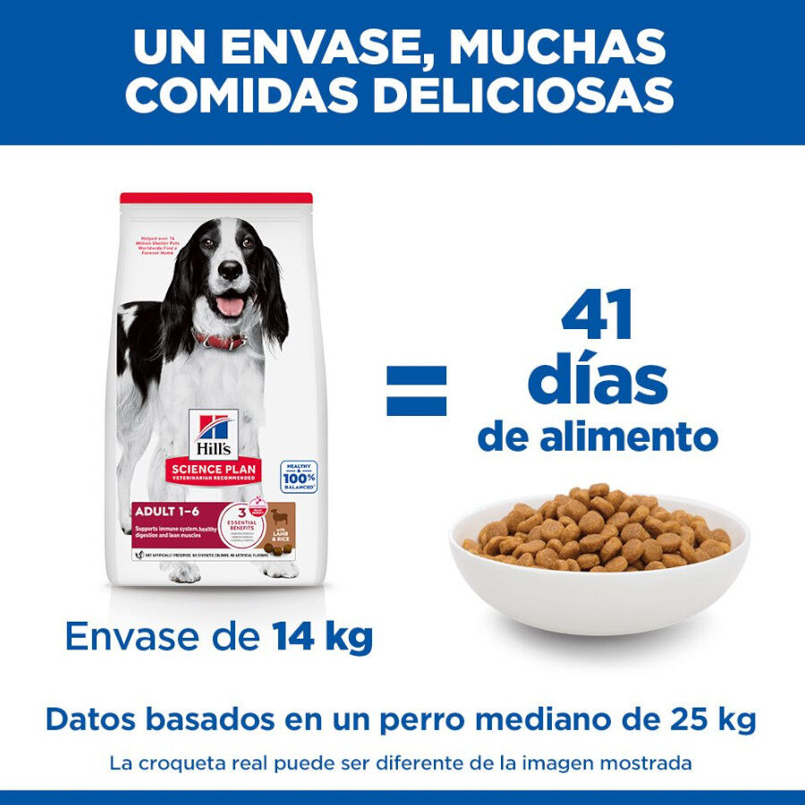 2 x 14 kg Hill's Science Plan Adult Medium Cordeiro e Arroz ra&ccedil;&atilde;o para c&atilde;es Pack poupan&ccedil;a!, , large Imagem n&uacute;mero 6