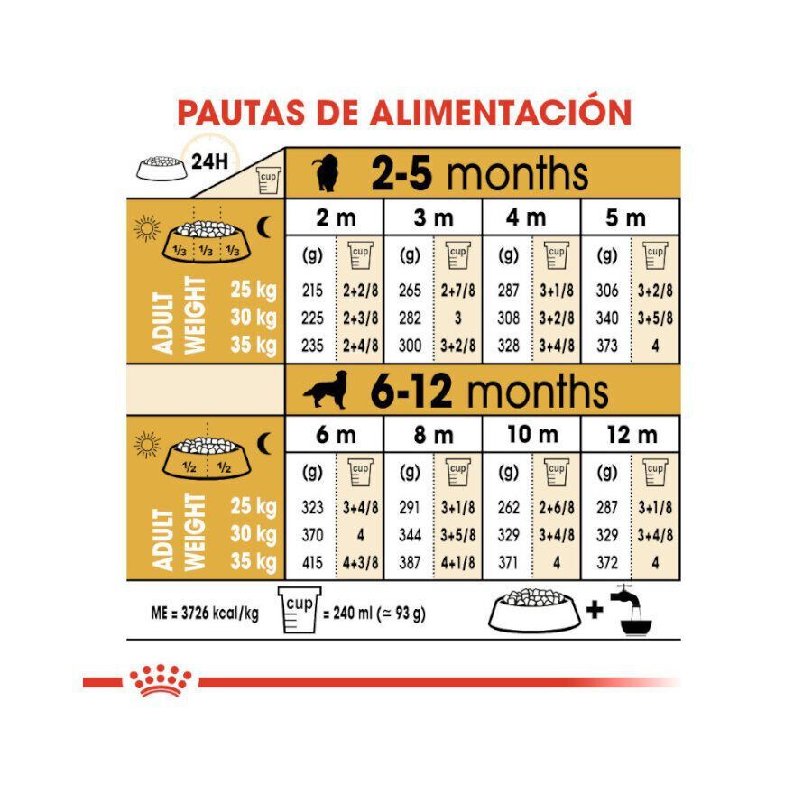 12 kg Royal Canin Puppy Golden Retriever ra&ccedil;&atilde;o para c&atilde;es, , large Imagem n&uacute;mero 9