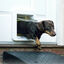 Sure Petcare SureFlap Porta Automática Branca com Microchip , , large Indicador imagem número 5