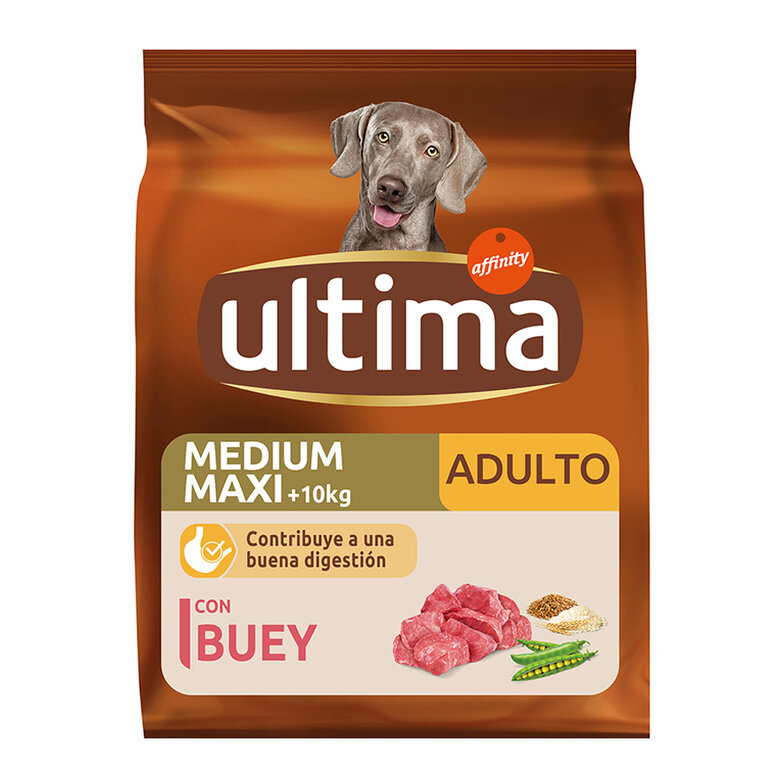 Ultima Adult vaca, , large image number null