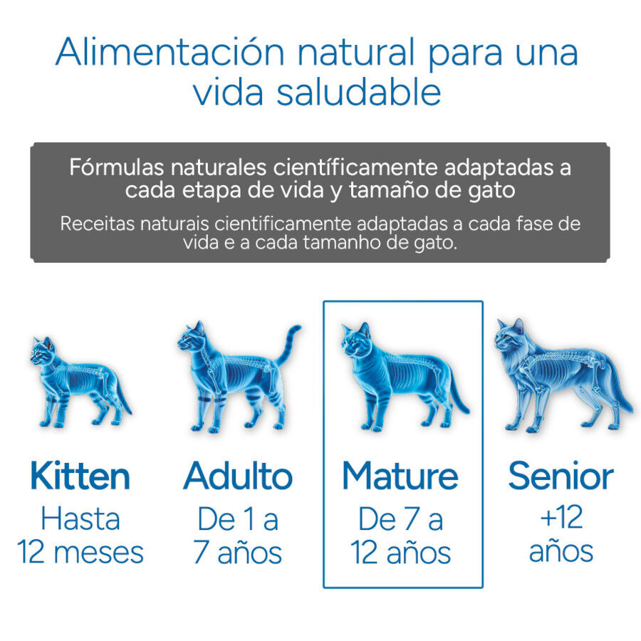 Criadores Cient&iacute;fico Mature +7 Ra&ccedil;&atilde;o de frango para gatos, , large Imagem n&uacute;mero 11