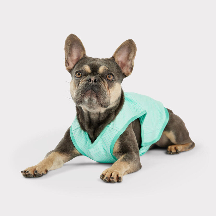 GF Pet ElastoFit Ice Vest Colete Refrescante para c&atilde;es, , large Imagem n&uacute;mero 4