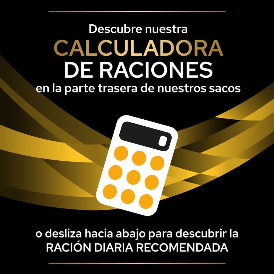 2 x 12 kg Pro Plan Veterinary Diets Joint Mobility JM ra&ccedil;&atilde;o para c&atilde;es Pack poupan&ccedil;a!, , large Imagem n&uacute;mero 6
