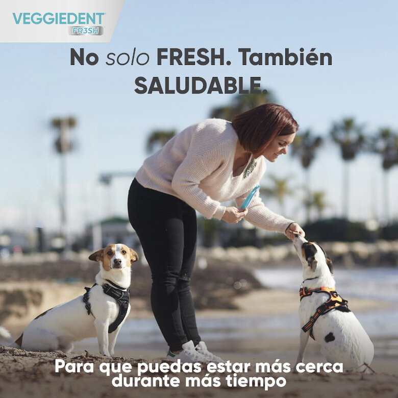 Virbac Snacks Dentários VeggieDent Fresh para cães mini, , large image number null
