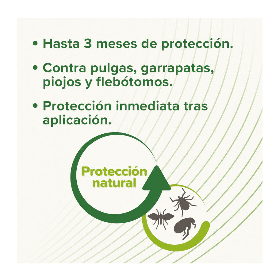 Beaphar Pipetas Repelentes para c&atilde;es, , large Imagem n&uacute;mero 3