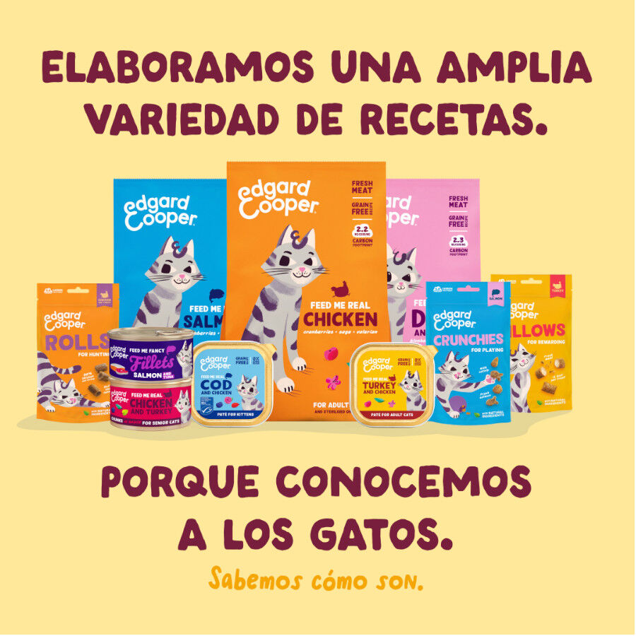 70 g Edgard & Cooper Filetes de Pollo y Pavo Lata para gatos, , large Imagem n&uacute;mero 8