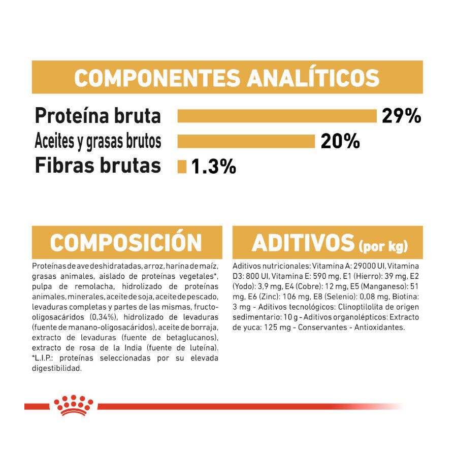 Royal Canin Puppy Yorkshire Terrier ra&ccedil;&atilde;o para c&atilde;es, , large Imagem n&uacute;mero 8