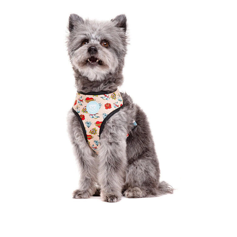 Dukier Peitoral revers&iacute;vel com estampado de tatuagem para c&atilde;es, , large Imagem n&uacute;mero 2