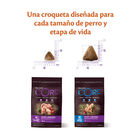 Wellness Core Puppy Small/Medium Frango e Peru ração para cães, , large image number null