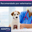 Adaptil Junior Coleira Anti-stress para cães, , large Indicador imagem número 10