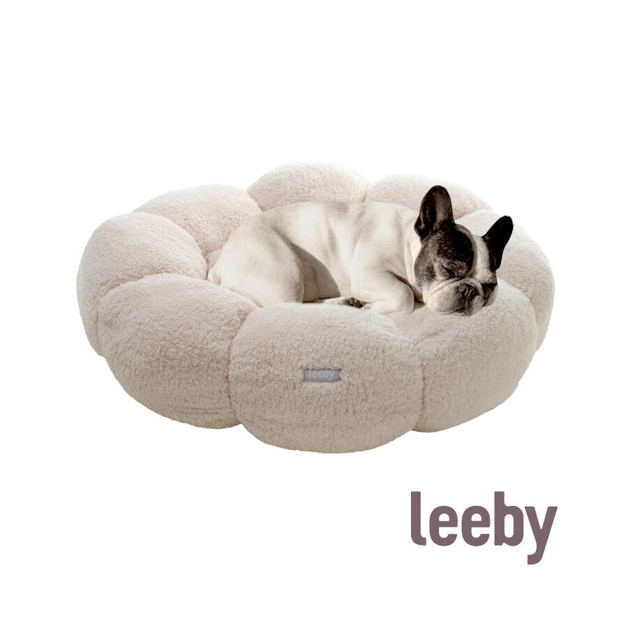 Leeby Sof&aacute; Flower Bed Bege para cachorros, , large Imagem n&uacute;mero 2