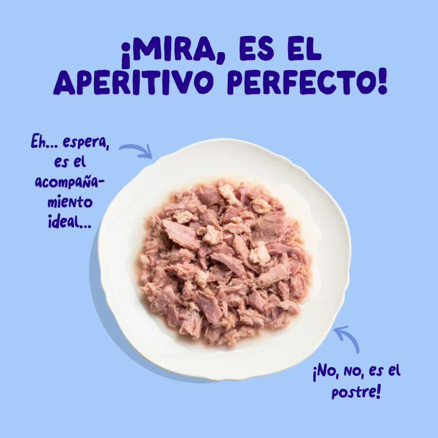 70 g Edgard & Cooper Alimento h&uacute;mido de atum e frango em lata para gatos, , large Imagem n&uacute;mero 3