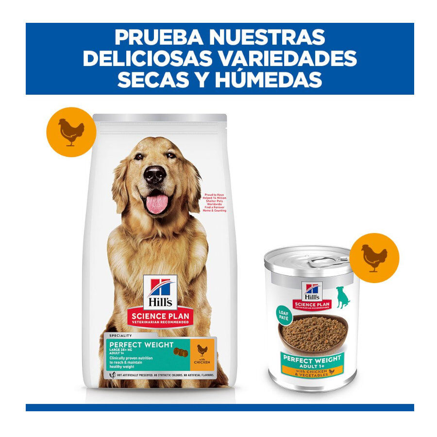 12 kg Hill's Science Plan Perfect Weight Adult Large Frango ra&ccedil;&atilde;o para c&atilde;es, , large Imagem n&uacute;mero 9