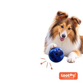 Tootoy! Explore Bola Labirinto Dispensadora de Snacks para c&atilde;es
