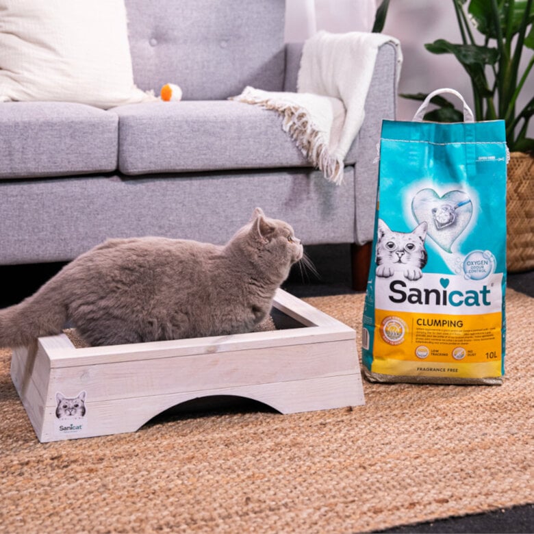 10 L Sanicat Cumpling Areia Aglomerante para gatos,  Imagem número 4 10 L Sanicat Cumpling Areia Aglomerante para gatos, , large Imagem número 4