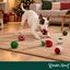 Wonder Christmas Bengala Doce Brinquedo para c&atilde;es, , large Indicador imagem n&uacute;mero 2
