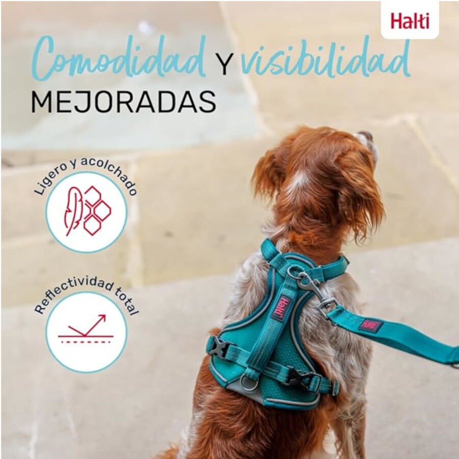 Halti Peitoral Anat&oacute;mico azul-esverdeado para c&atilde;es pequenos, , large Imagem n&uacute;mero 5