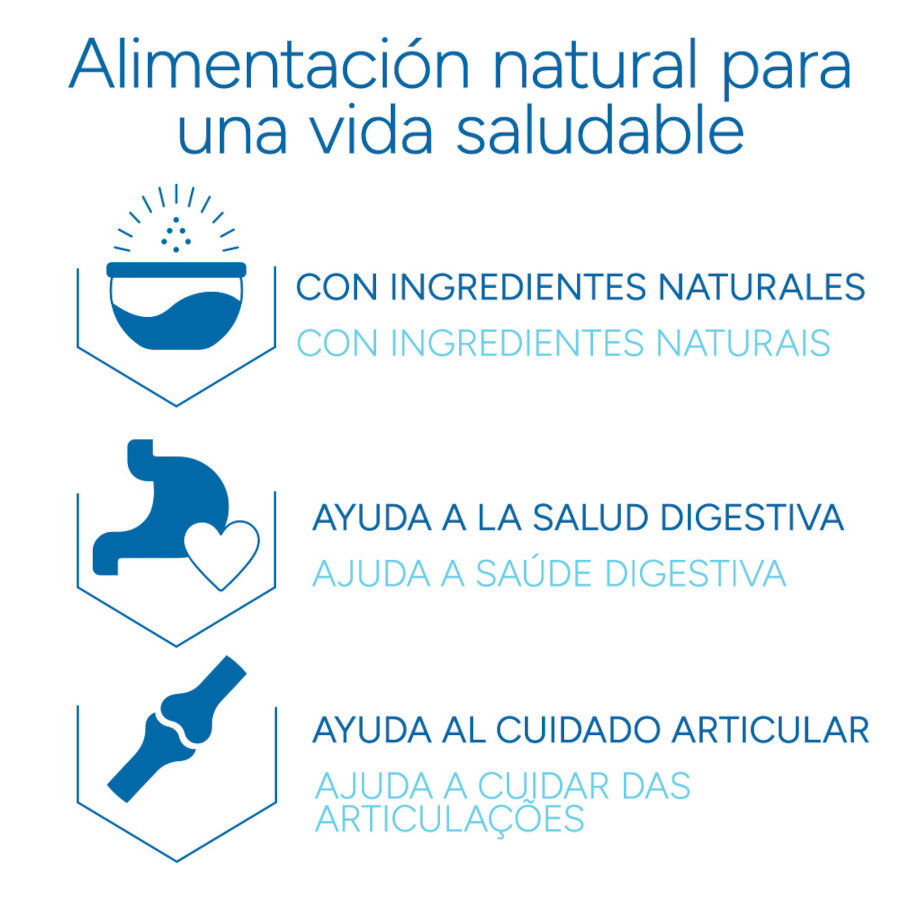 Criadores Cient&iacute;fico Adulto Maxi Ra&ccedil;&atilde;o de frango para c&atilde;es, , large Imagem n&uacute;mero 6