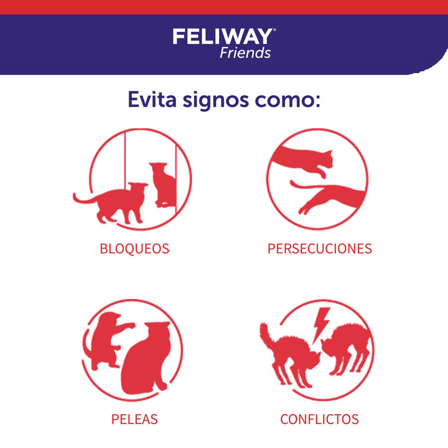 Feliway Friends Difusor + Recarga para gatos, , large Imagem n&uacute;mero 2