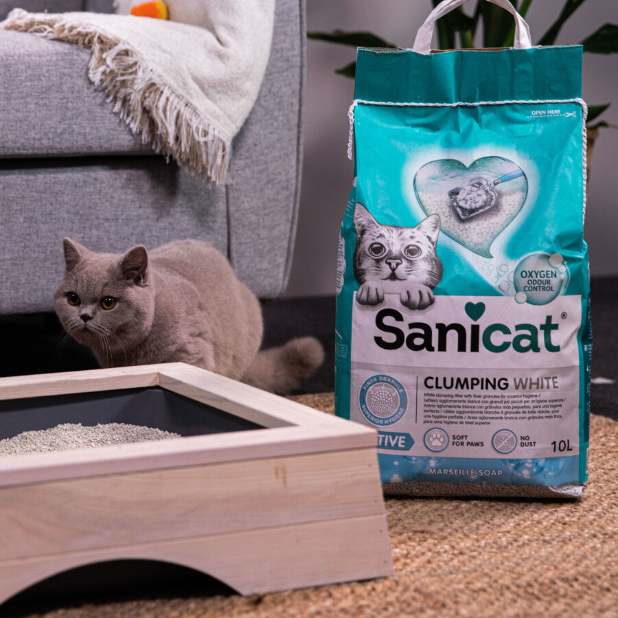 10 L Sanicat Cumpling White Marseille Active Areia para gatos, , large Imagem n&uacute;mero 4