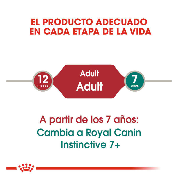 24 saquetas x 85 g Royal Canin Instinctive pat&ecirc; saqueta para gatos Pack poupan&ccedil;a!, , large Imagem n&uacute;mero 5