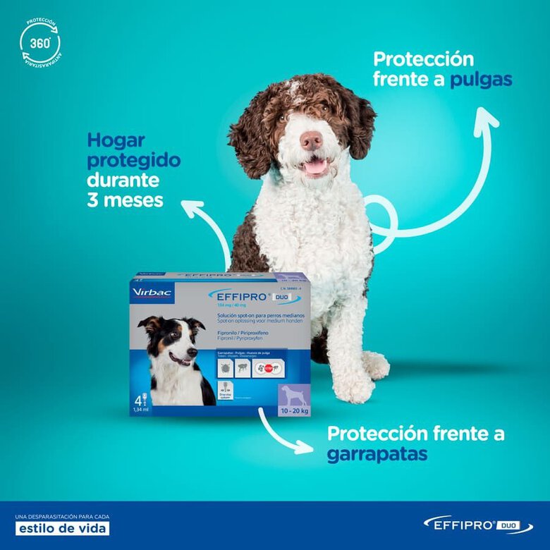 Effipro Duo pipetas antiparasíticas para cães,  Imagem número 2 Effipro Duo pipetas antiparasíticas para cães, , large Imagem número 2