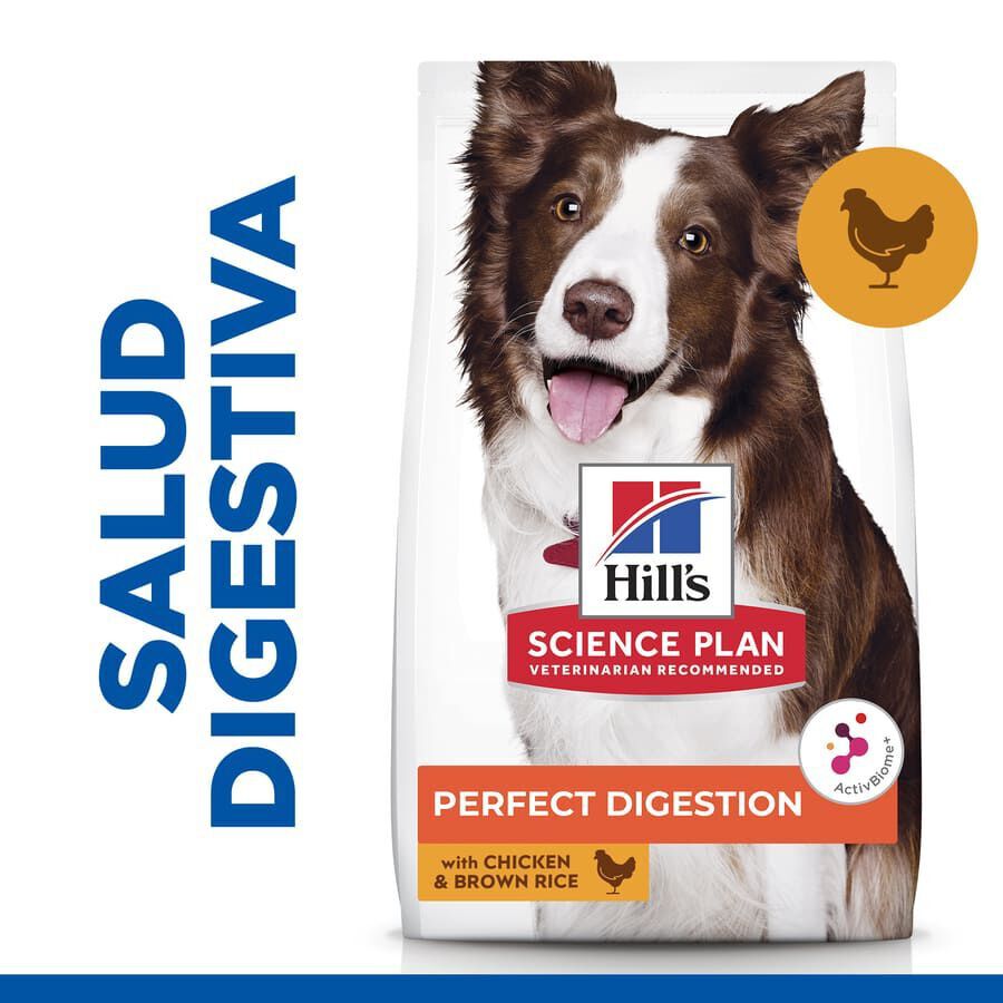 14 kg Hill'sScience Plan Perfect Digestion Medium Adult Ra&ccedil;&atilde;o de frango para c&atilde;es, , large Imagem n&uacute;mero 2