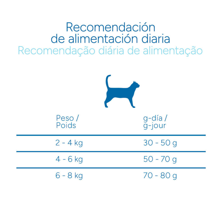 Criadores Cient&iacute;fico Mature +7 Ra&ccedil;&atilde;o de frango para gatos, , large Imagem n&uacute;mero 9