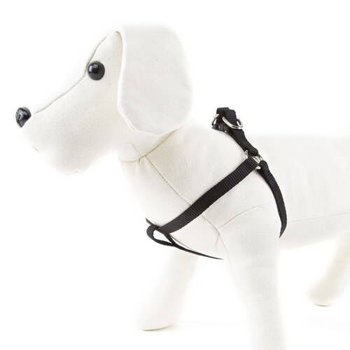 Nayeco Basic arn&eacute;s para perros negro Imagem n&uacute;mero 1