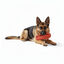 All For Paws Pantufas Air Pups Brinquedo para c&atilde;es, , large Indicador imagem n&uacute;mero 2