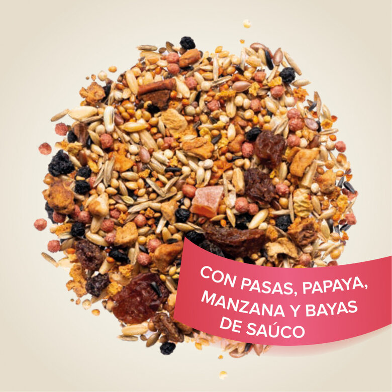 Beaphar sementes de frutas para pássaros,  Imagem número 2 Beaphar sementes de frutas para pássaros, , large Imagem número 2