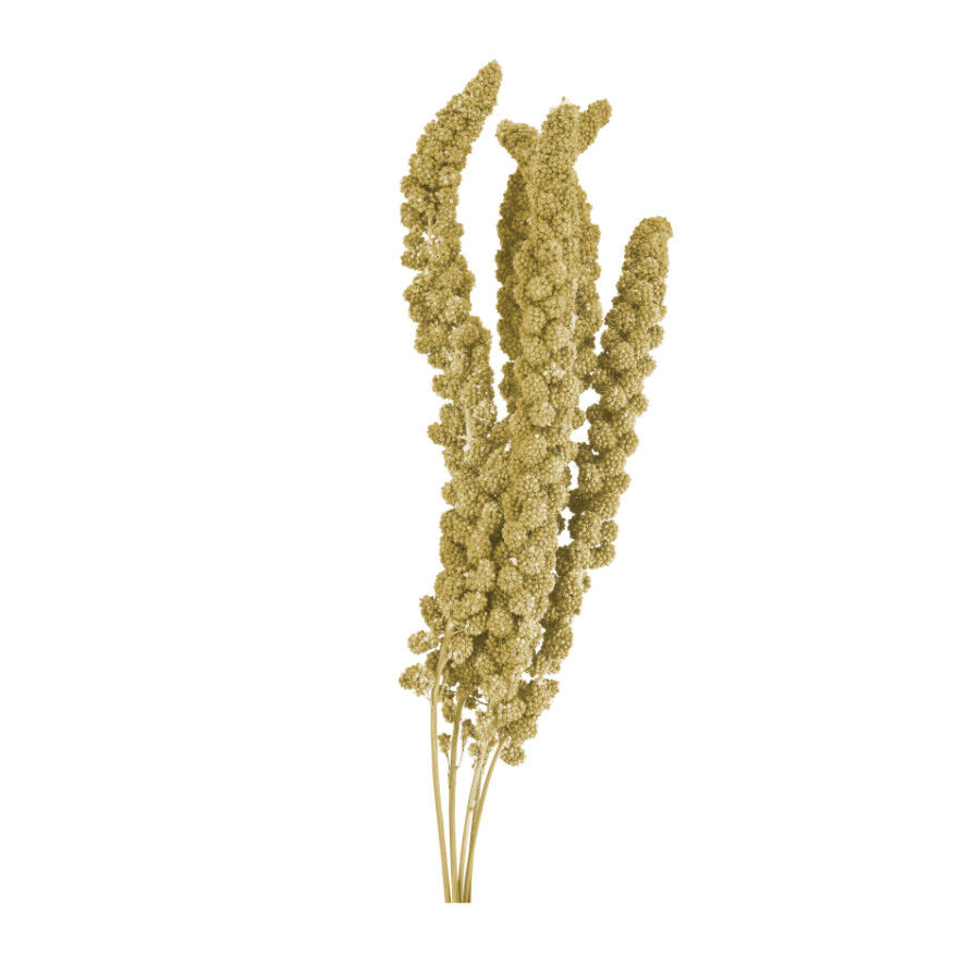 250 g Small Life Panizo amarelo para p&aacute;ssaros, , large Imagem n&uacute;mero 2