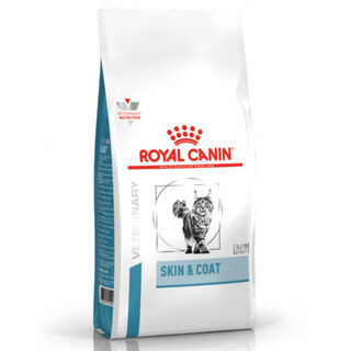 Royal Canin Skin&Coat ração para gatos
