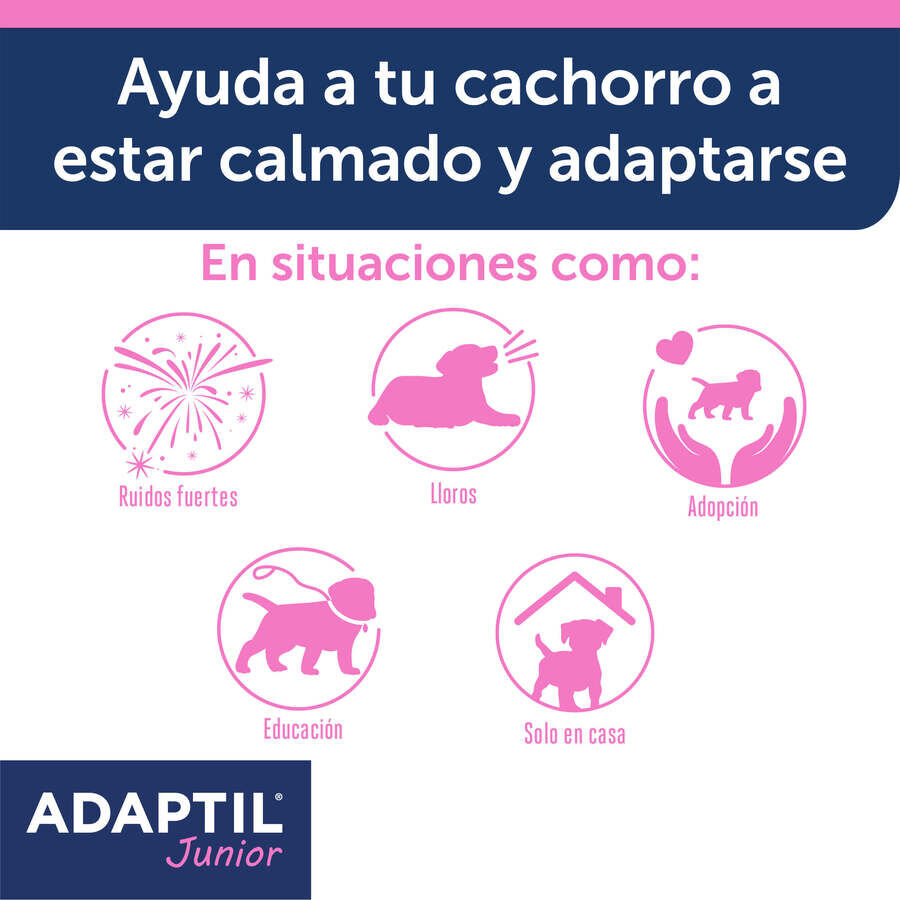 Adaptil Junior Coleira Anti-stress para c&atilde;es, , large Imagem n&uacute;mero 4