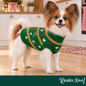 Wonder Christmas Camisola de Natal para c&atilde;es