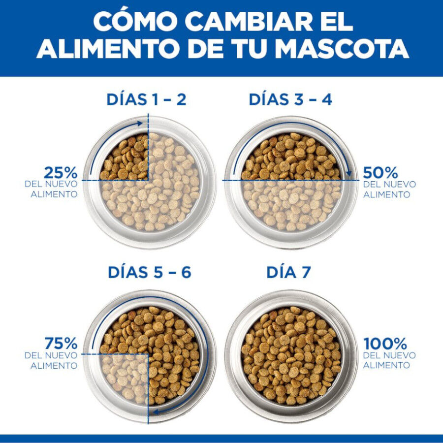 363 g Hill's Science Plan Adult Comida h&uacute;mida de Vaca e Legumes para c&atilde;es, , large Imagem n&uacute;mero 8