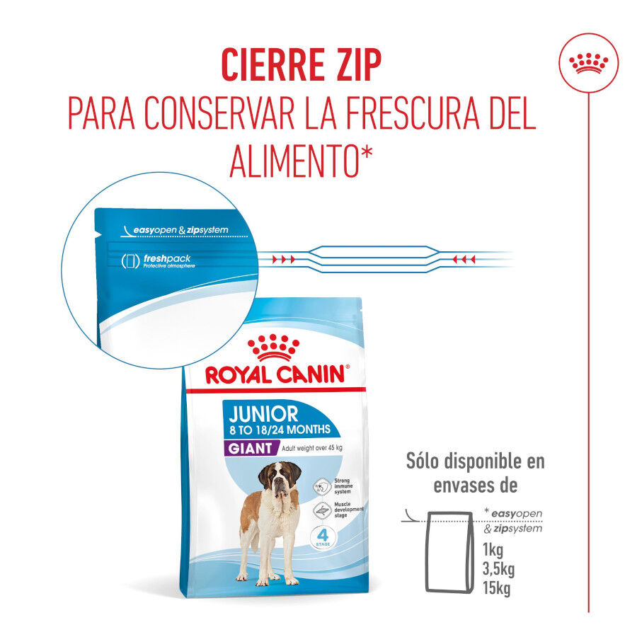 15 kg Royal Canin Junior Giant ra&ccedil;&atilde;o para c&atilde;es, , large Imagem n&uacute;mero 10