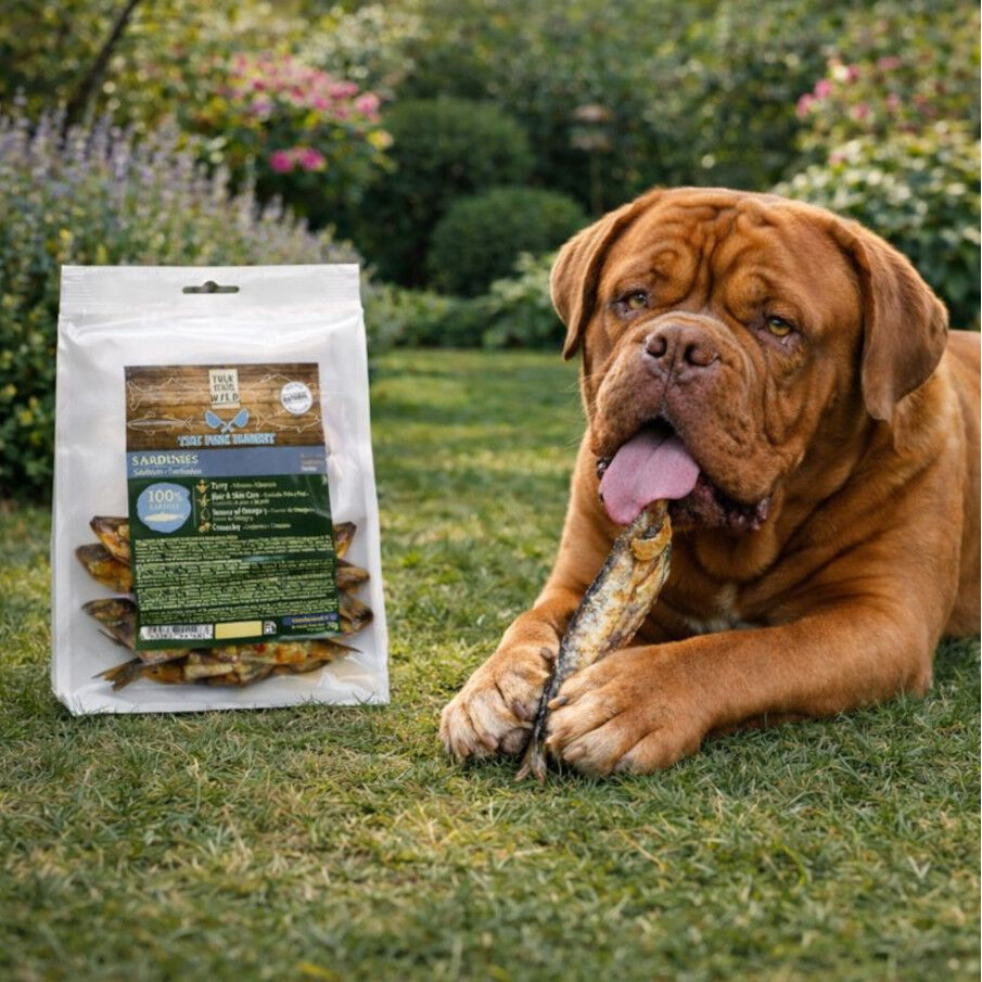 70 g. True Origins Sardinas Snack para perros, , large Imagem n&uacute;mero 1