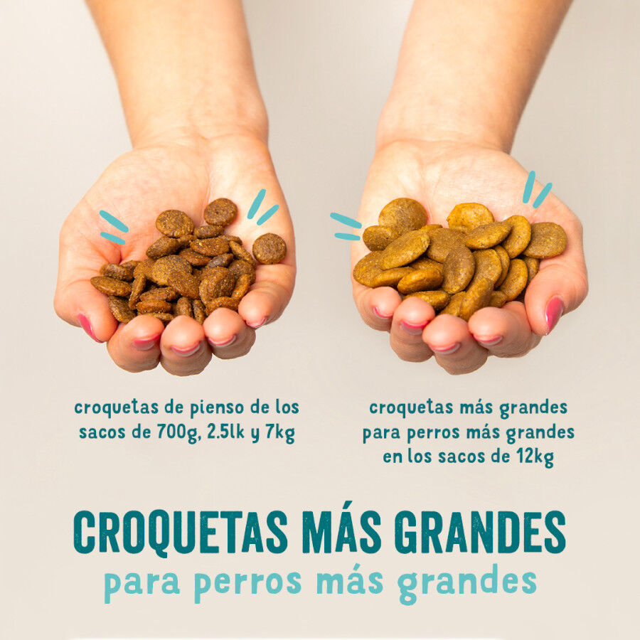 12 kg Edgard & Cooper Adult Borrego ra&ccedil;&atilde;o para c&atilde;es, , large Imagem n&uacute;mero 5