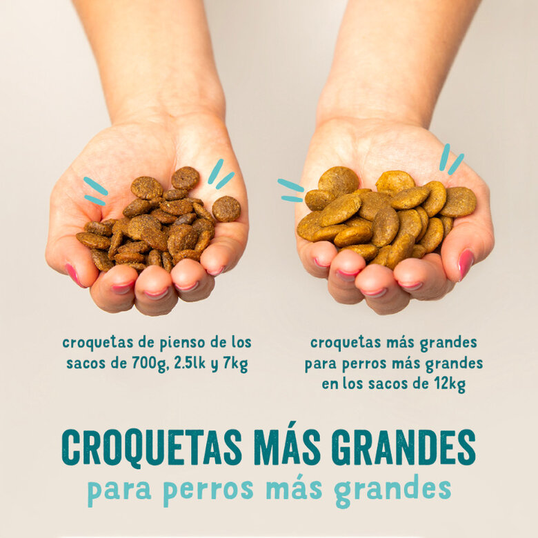 12 kg Edgard & Cooper Adult Borrego ração para cães,  Imagem número 5 12 kg Edgard & Cooper Adult Borrego ração para cães, , large Imagem número 5