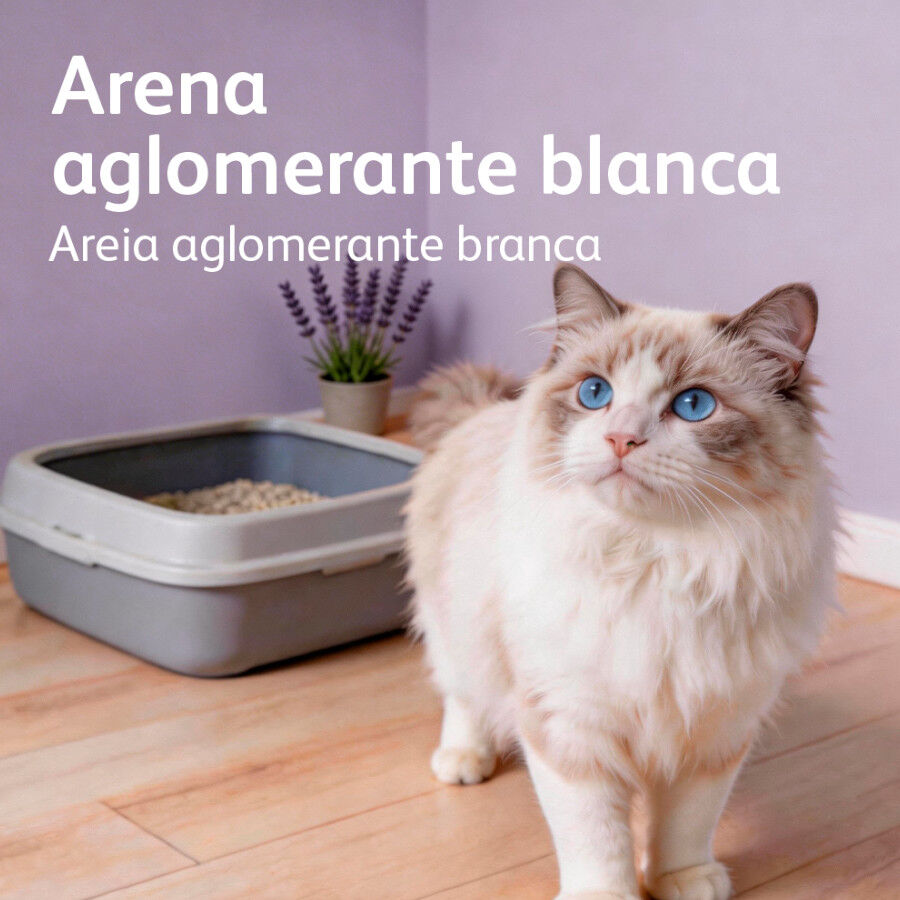 10 L Nova Clean Ultra Areia Aglomerante Lavanda para gatos, , large Imagem n&uacute;mero 6